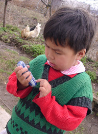 Главное фото