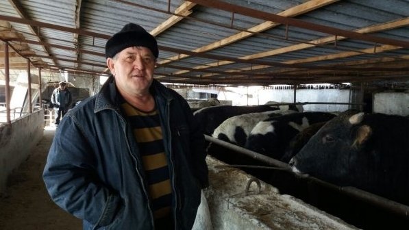 Главное фото