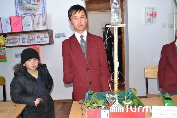 Главное фото