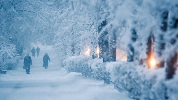 Главное фото