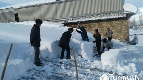 Главное фото