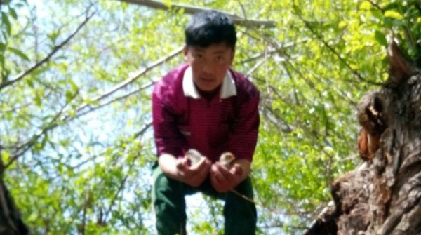 Главное фото