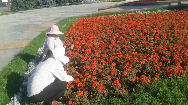 Главное фото