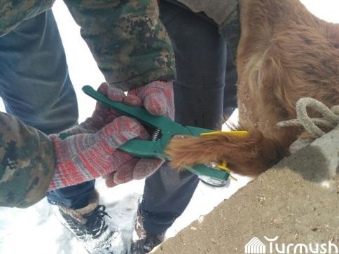 Главное фото