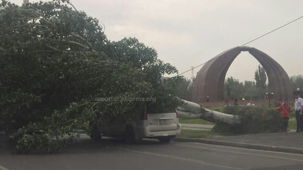 Главное фото
