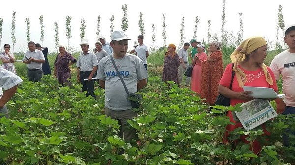 Главное фото