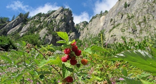 Главное фото