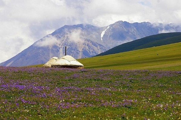 Главное фото