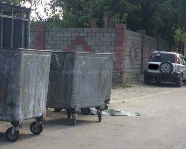 Главное фото