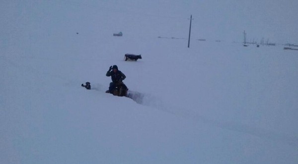 Главное фото