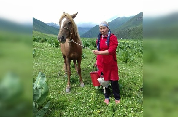 Главное фото