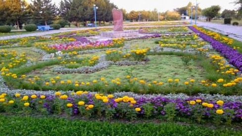 Главное фото