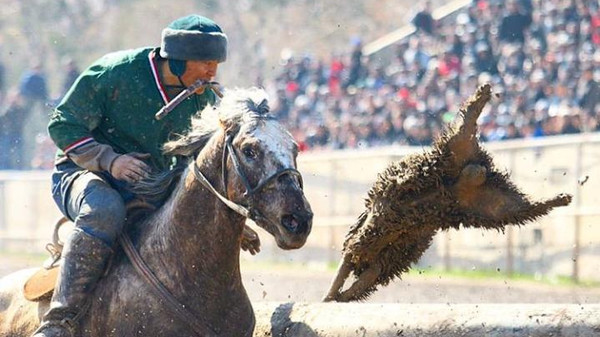 Главное фото