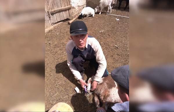 Главное фото