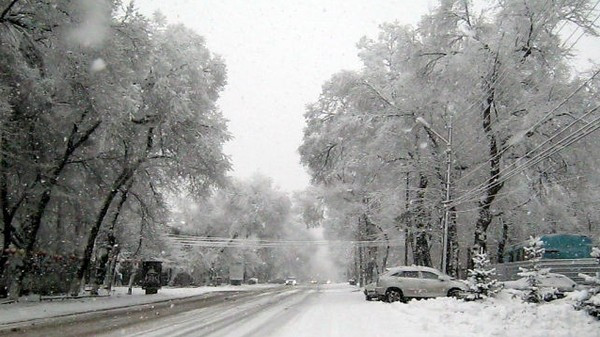 Главное фото