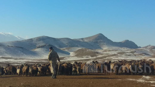 Главное фото