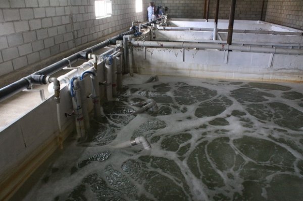 Госорганы оштрафовали представителей пансионатов &laquo;Дениз&raquo; и &laquo;Ак-Марал&raquo; после проверки очистных сооружений &mdash; Tazabek