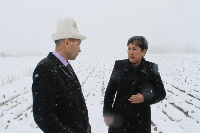 Главное фото