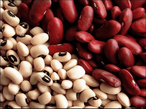 Впервые в этом году КР экспортировала тысячу тонн фасоли в Туркменистан, - ТПП КР &mdash; Tazabek