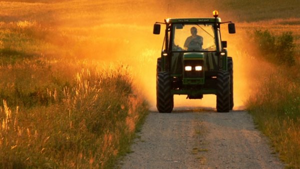 С 2006 года количество действующих сельхозкооперативов сократилось в 3 раза, - Минсельхоз &mdash; Tazabek