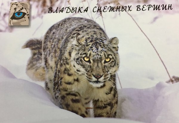 Главное фото