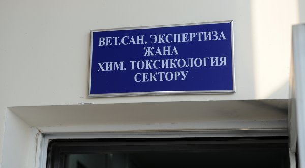 Реконструкция Республиканского центра ветеринарной диагностики почти полностью завершена, - директор центра (фото) &mdash; Tazabek
