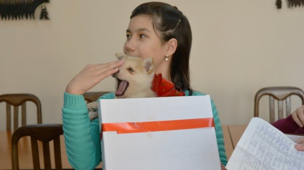 Главное фото