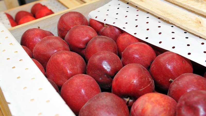 С начала года из 160 фактов выявлений карантинных объектов более 70% выявлено в подкарантинной продукции, поступившей из Кыргызстана, - Минсельхоз РК &mdash; Tazabek