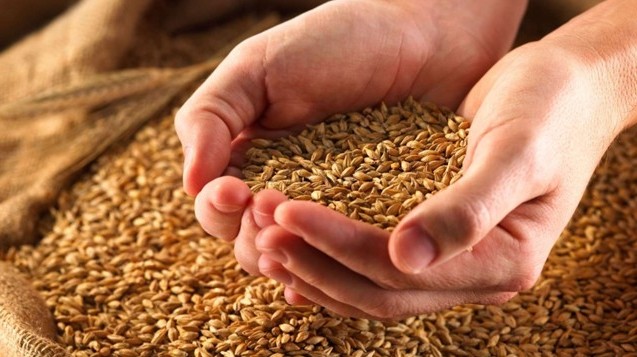 Минсельхоз предлагает утвердить проект закона &laquo;О госдотации в семеноводстве&raquo; &mdash; Tazabek