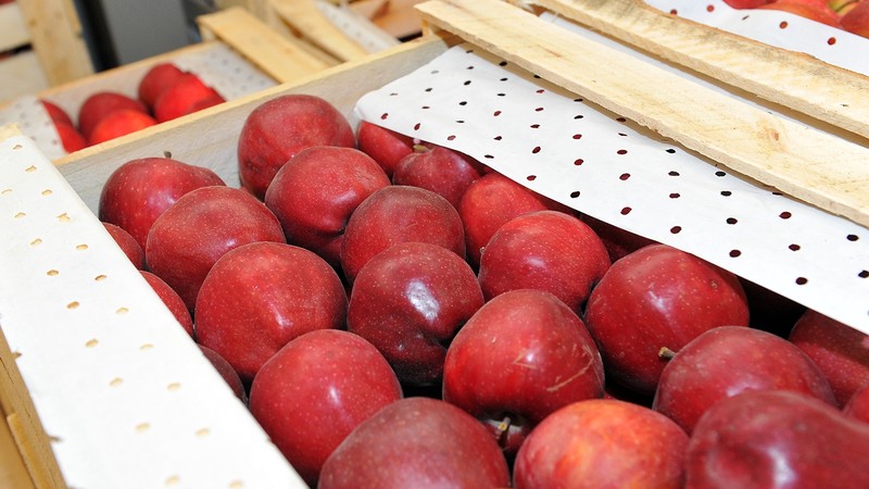 На сегодня плохо контролируется рынок химических удобрений, - глава Кыргызской ассоциации экспортеров и импортеров Л.Ниязбекова &mdash; Tazabek