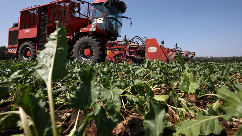 В 2017 году общий объем произведенной валовой продукции сельского хозяйства составил 207,4 млрд сомов &mdash; Tazabek