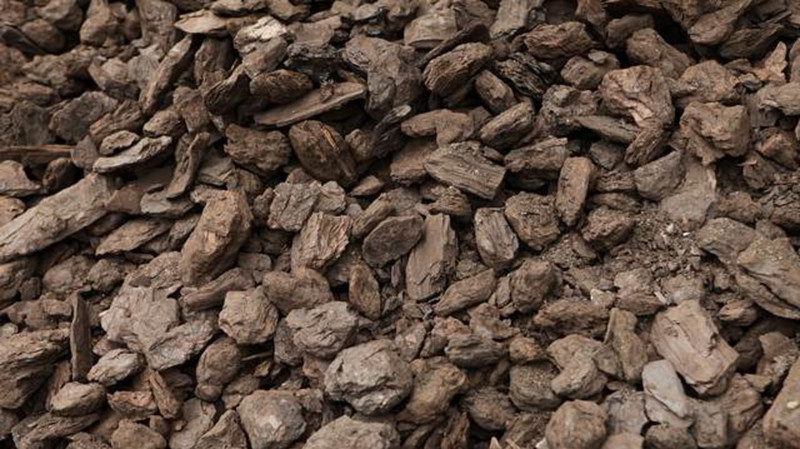 Компания кандидата в депутаты ЖК выиграла лицензию на разведку участка &laquo;Южный&raquo; месторождения бурого угля Учкоргон &mdash; Tazabek