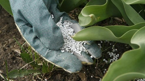 Минэкономики зафиксировал изменение цен на минудобрения в столице, а также в 4 городах &mdash; Tazabek