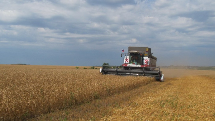 Общая посевная площадь сельхозкультур в 2018 году составила 1214,9 тыс. га, - Нацстатком &mdash; Tazabek