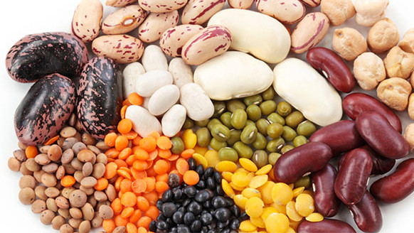 На сегодня закупочная цена фасоли в КР достигает 58 сомов, - Госантипонополия &mdash; Tazabek