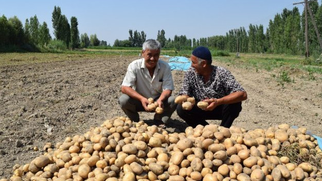 Правительство подняло оплату интервьюерам, производящим обследование домашних хозяйств &mdash; Tazabek