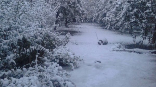 Главное фото