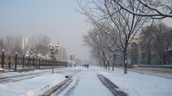 Главное фото