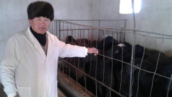 Главное фото