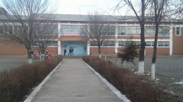 Главное фото