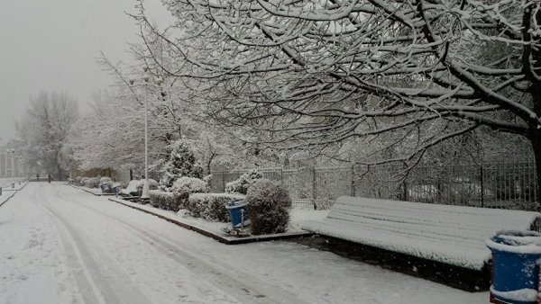 Главное фото