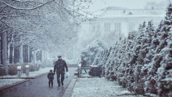 Главное фото