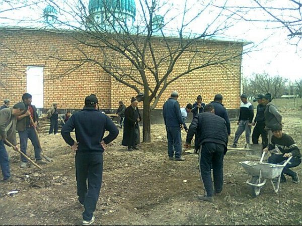 Главное фото