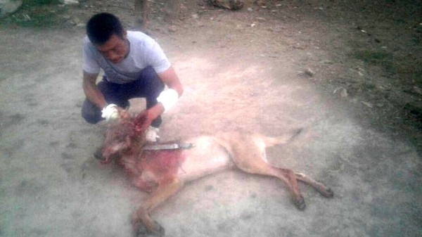 Главное фото