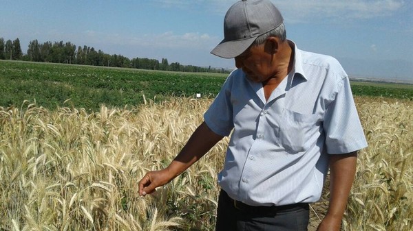 Главное фото