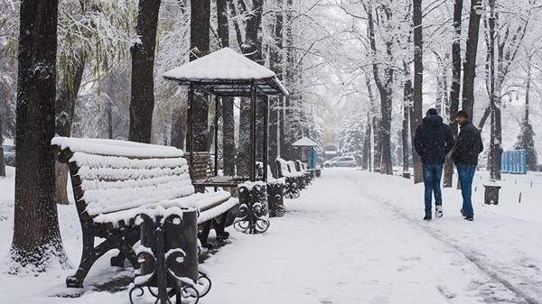 Главное фото