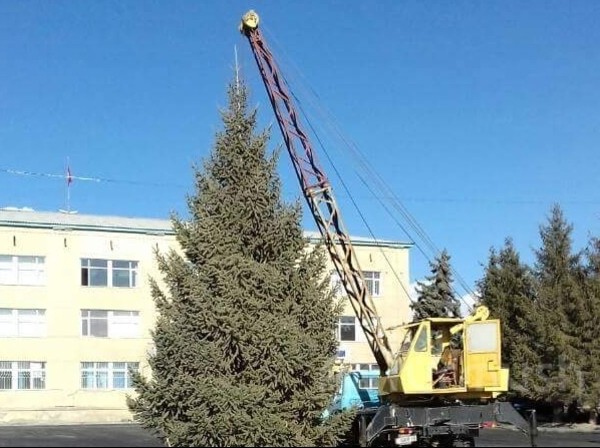 Главное фото