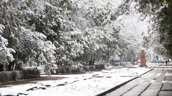 Главное фото