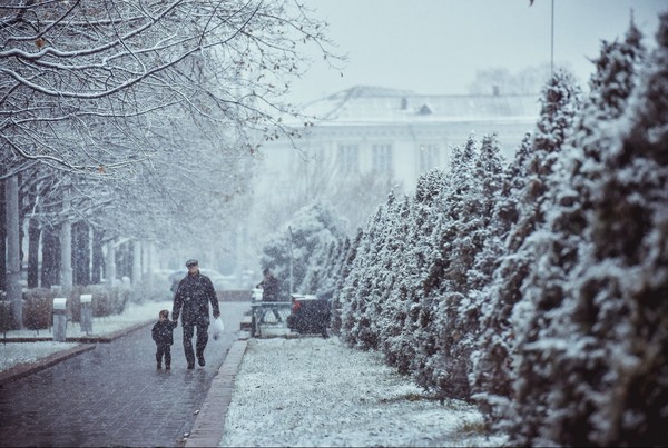 Главное фото
