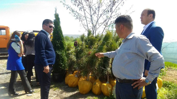 Главное фото